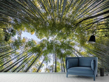 Load image into Gallery viewer, Photo Wallpaper Many treetops
