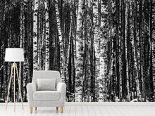 Load image into Gallery viewer, Photo Wallpaper Many birches XL
