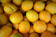 Photo Wallpaper Many oranges