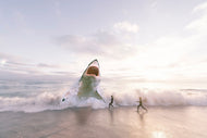 Photo Wallpaper Beware shark