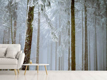 Load image into Gallery viewer, Photo Wallpaper Forest in winter
