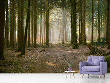 Load image into Gallery viewer, Photo Wallpaper Forest run
