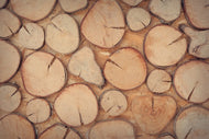 Photo Wallpaper Wall trees