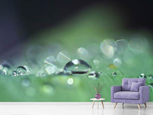 Load image into Gallery viewer, Photo Wallpaper Drops of water in XXL

