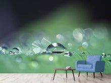 Load image into Gallery viewer, Photo Wallpaper Drops of water in XXL
