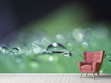 Load image into Gallery viewer, Photo Wallpaper Drops of water in XXL
