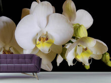 Load image into Gallery viewer, Photo Wallpaper White orchids in bloom
