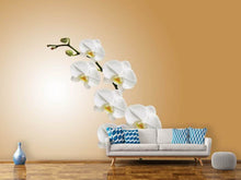 Load image into Gallery viewer, Photo Wallpaper White orchids XL
