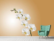 Load image into Gallery viewer, Photo Wallpaper White orchids XL

