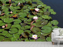 Load image into Gallery viewer, Photo Wallpaper White water lilies in the pond
