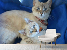 Load image into Gallery viewer, Photo Wallpaper Like mom ...
