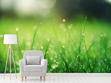 Load image into Gallery viewer, Photo Wallpaper Meadow with morning dew
