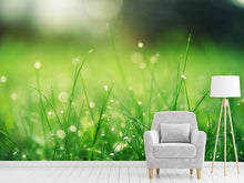 Load image into Gallery viewer, Photo Wallpaper Meadow with morning dew
