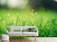 Load image into Gallery viewer, Photo Wallpaper Meadow with morning dew
