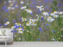 Load image into Gallery viewer, Photo Wallpaper Wild flower meadow
