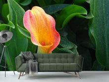 Load image into Gallery viewer, Photo Wallpaper Wild Calla
