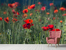 Load image into Gallery viewer, Photo Wallpaper Wild poppy
