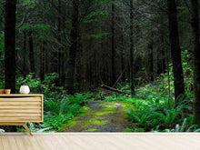 Load image into Gallery viewer, Photo Wallpaper Wild forest
