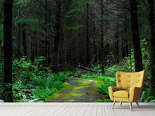 Load image into Gallery viewer, Photo Wallpaper Wild forest
