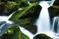 Photo Wallpaper Wild waterfall