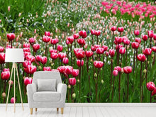 Load image into Gallery viewer, Photo Wallpaper Wild tulip field
