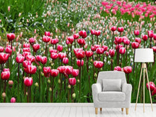 Load image into Gallery viewer, Photo Wallpaper Wild tulip field
