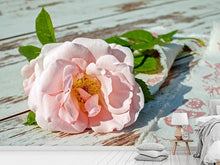 Load image into Gallery viewer, Photo Wallpaper Wild rose in pink
