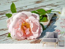 Load image into Gallery viewer, Photo Wallpaper Wild rose in pink
