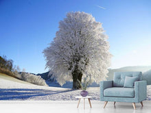 Load image into Gallery viewer, Photo Wallpaper Winter fairy tale
