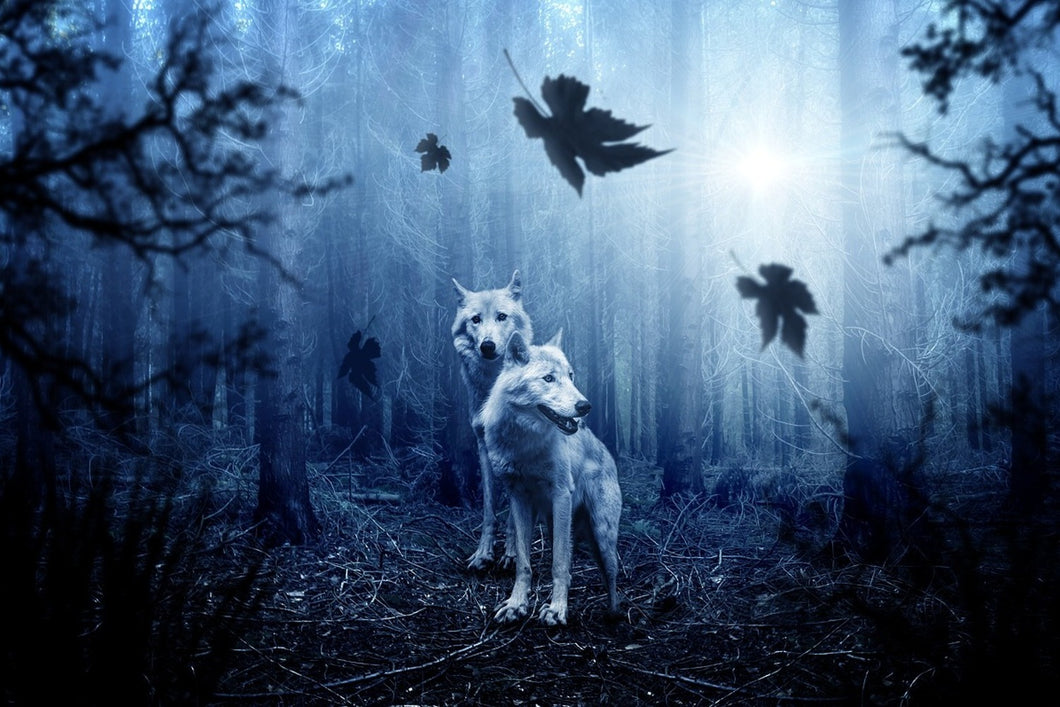 Photo Wallpaper Wolf's couple