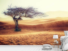 Load image into Gallery viewer, Photo Wallpaper desert storm
