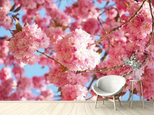 Load image into Gallery viewer, Photo Wallpaper Beautiful cherry blossoms
