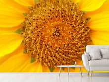Load image into Gallery viewer, Photo Wallpaper Beautiful buds of the sunflower
