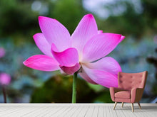 Load image into Gallery viewer, Photo Wallpaper Beautiful lotus
