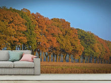 Load image into Gallery viewer, Photo Wallpaper Beautiful autumn
