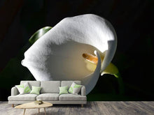 Load image into Gallery viewer, Photo Wallpaper Wonderful calla
