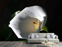 Load image into Gallery viewer, Photo Wallpaper Wonderful calla
