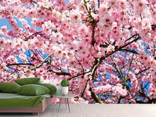 Load image into Gallery viewer, Photo Wallpaper Wonderful Japanese cherry
