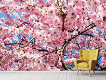 Load image into Gallery viewer, Photo Wallpaper Wonderful Japanese cherry
