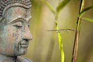Photo Wallpaper XL Buddha head