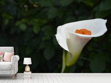 Load image into Gallery viewer, Photo Wallpaper XL Calla in white
