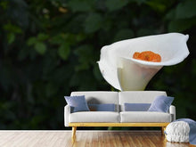 Load image into Gallery viewer, Photo Wallpaper XL Calla in white
