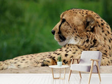 Load image into Gallery viewer, Photo Wallpaper XL cheetah
