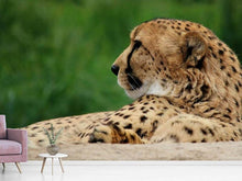 Load image into Gallery viewer, Photo Wallpaper XL cheetah
