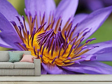 Load image into Gallery viewer, Photo Wallpaper XXL water lily in purple
