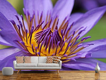 Load image into Gallery viewer, Photo Wallpaper XXL water lily in purple
