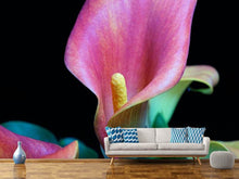 Load image into Gallery viewer, Photo Wallpaper Zantedeschien
