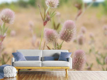 Load image into Gallery viewer, Photo Wallpaper Delicate flowers
