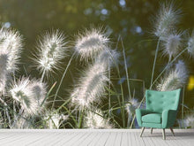 Load image into Gallery viewer, Photo Wallpaper Ornamental grasses in XL
