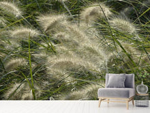 Load image into Gallery viewer, Photo Wallpaper Ornamental grass in the wind
